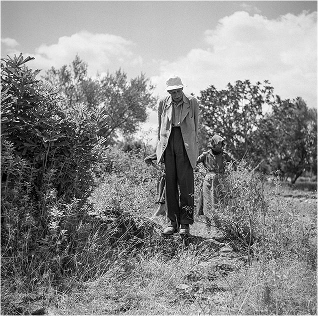 Robert McCabe: Mycenae 1954. To Katamesimero: photograph 11, printed by Idolo Lab, Athens