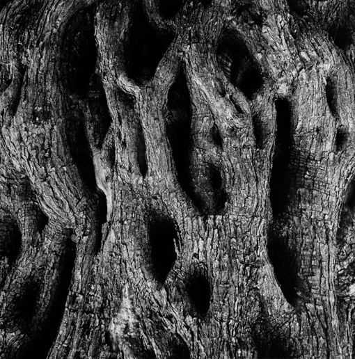 Dimitris Harissiadis: photograph 4, printed by Idolo Lab, Athens