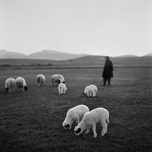 Dimitris Harissiadis: photograph 17, printed by Idolo Lab, Athens