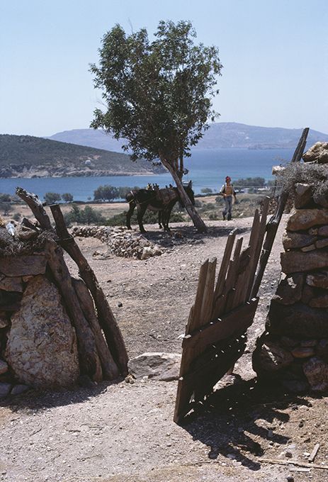 Patmos: Pathways of Memory: photograph 13, printed by Idolo Lab, Athens