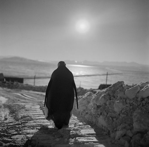 Robert McCabe