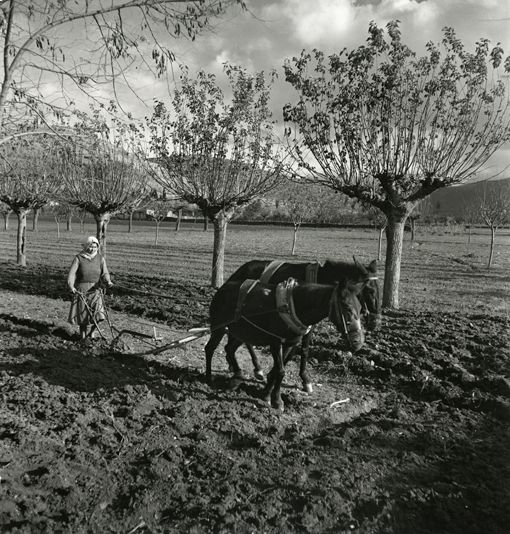 Voula Papaioannou: photograph 13, printed by Idolo Lab, Athens